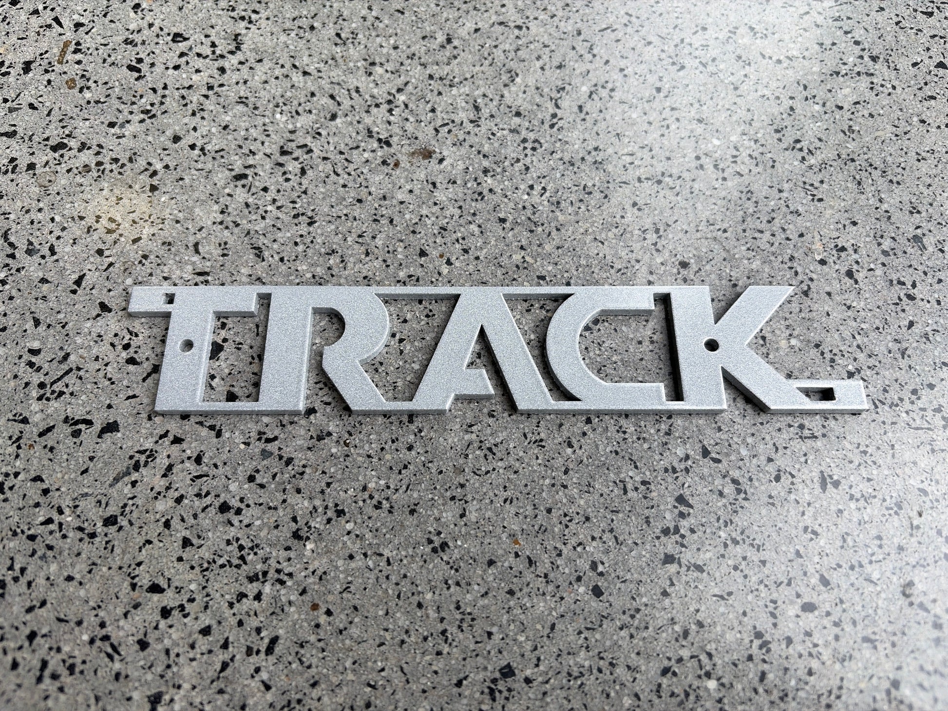 Track Logo-PreciousSilverPearl