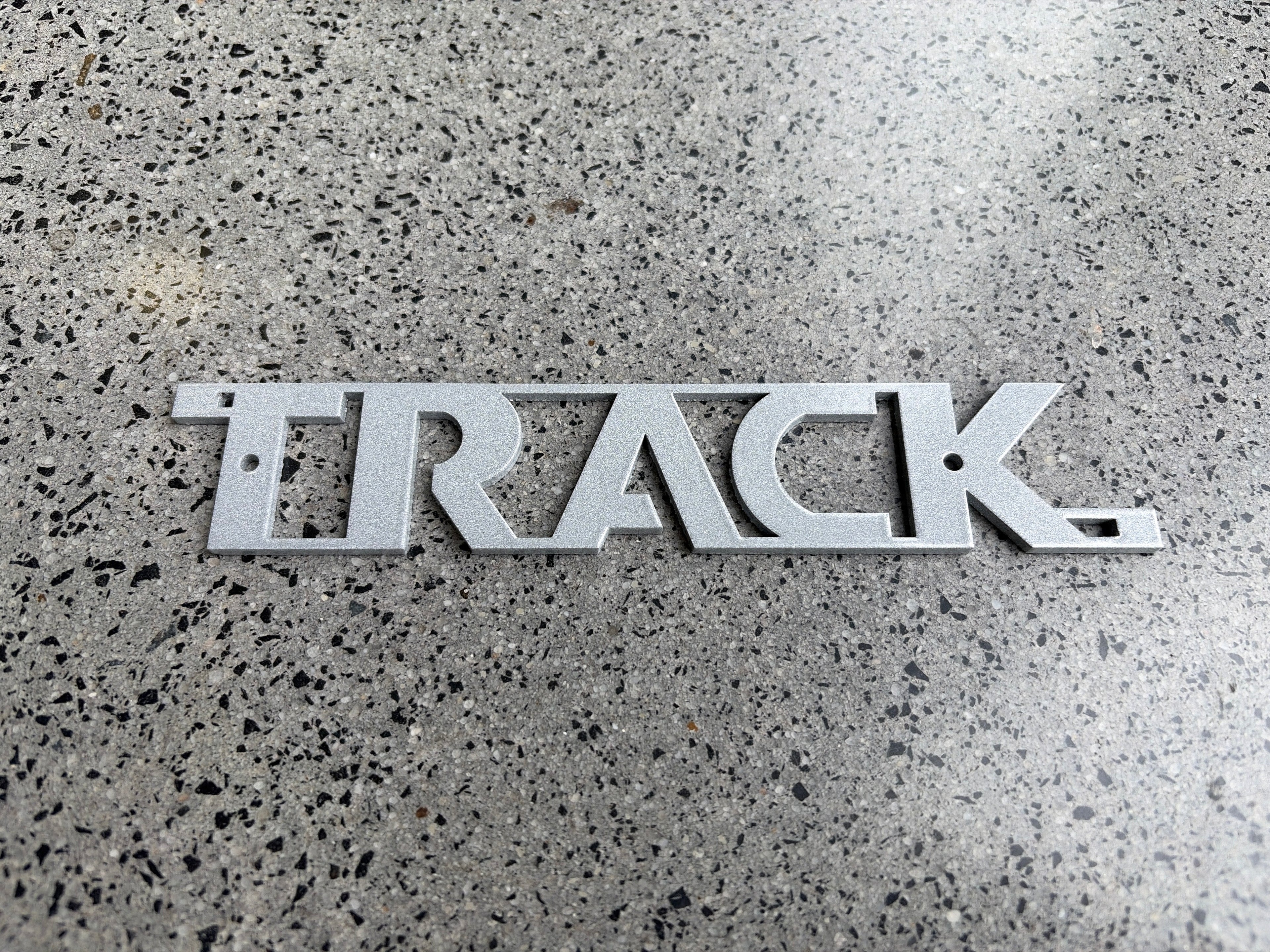 Track Logo-PreciousSilverPearl